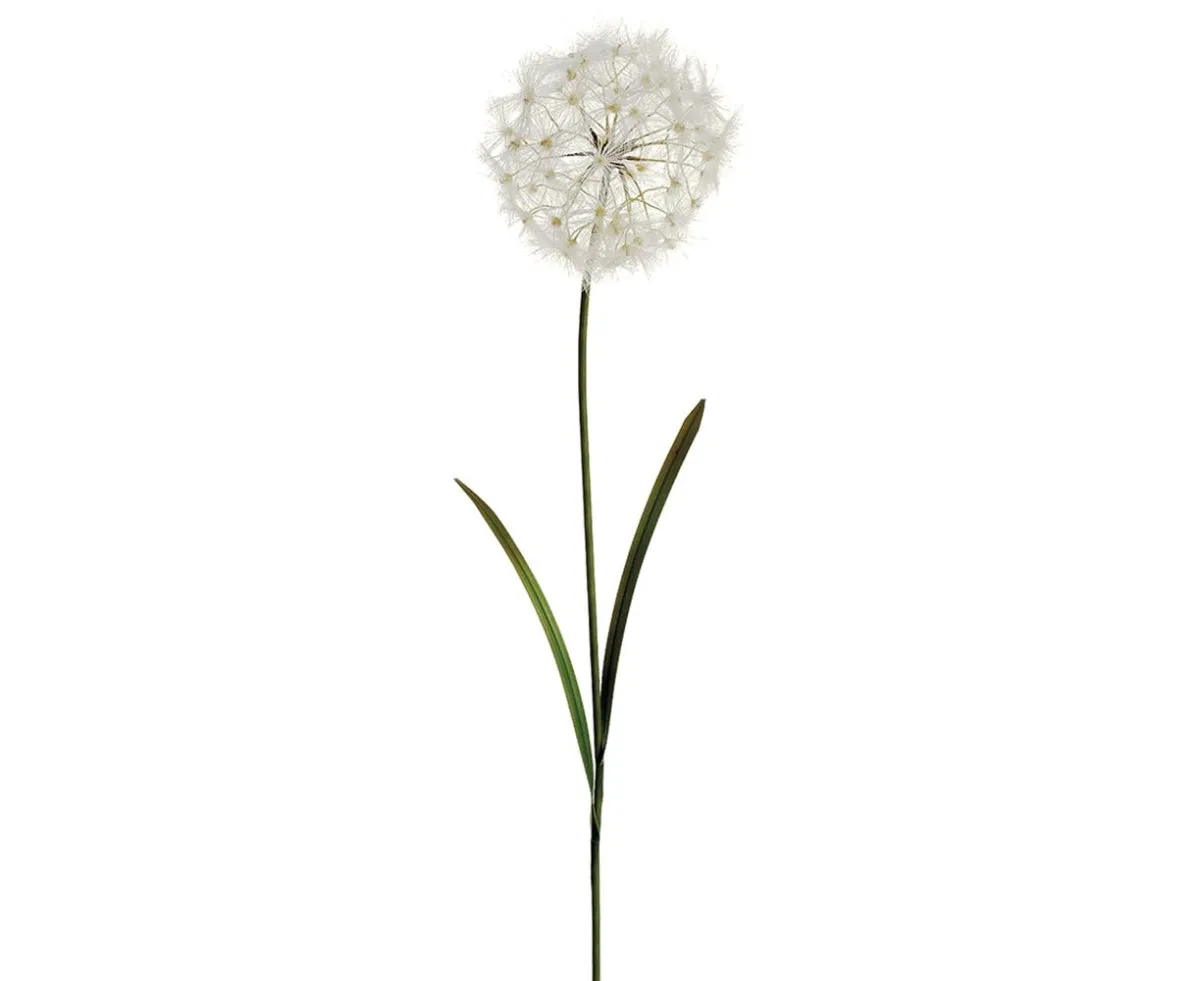40" Dandelion Spray CR