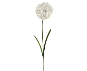 40" Dandelion Spray CR