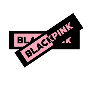 Blackpink Wrist Bands - Pack of 10