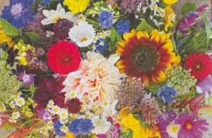 Boxcar Flower Farm Bouquets Photograph by DeAnna Tibbs
