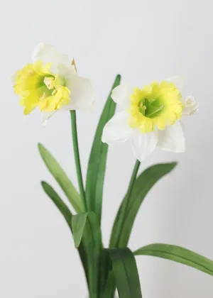 Real Touch Daffodils in White and Yellow - 18"