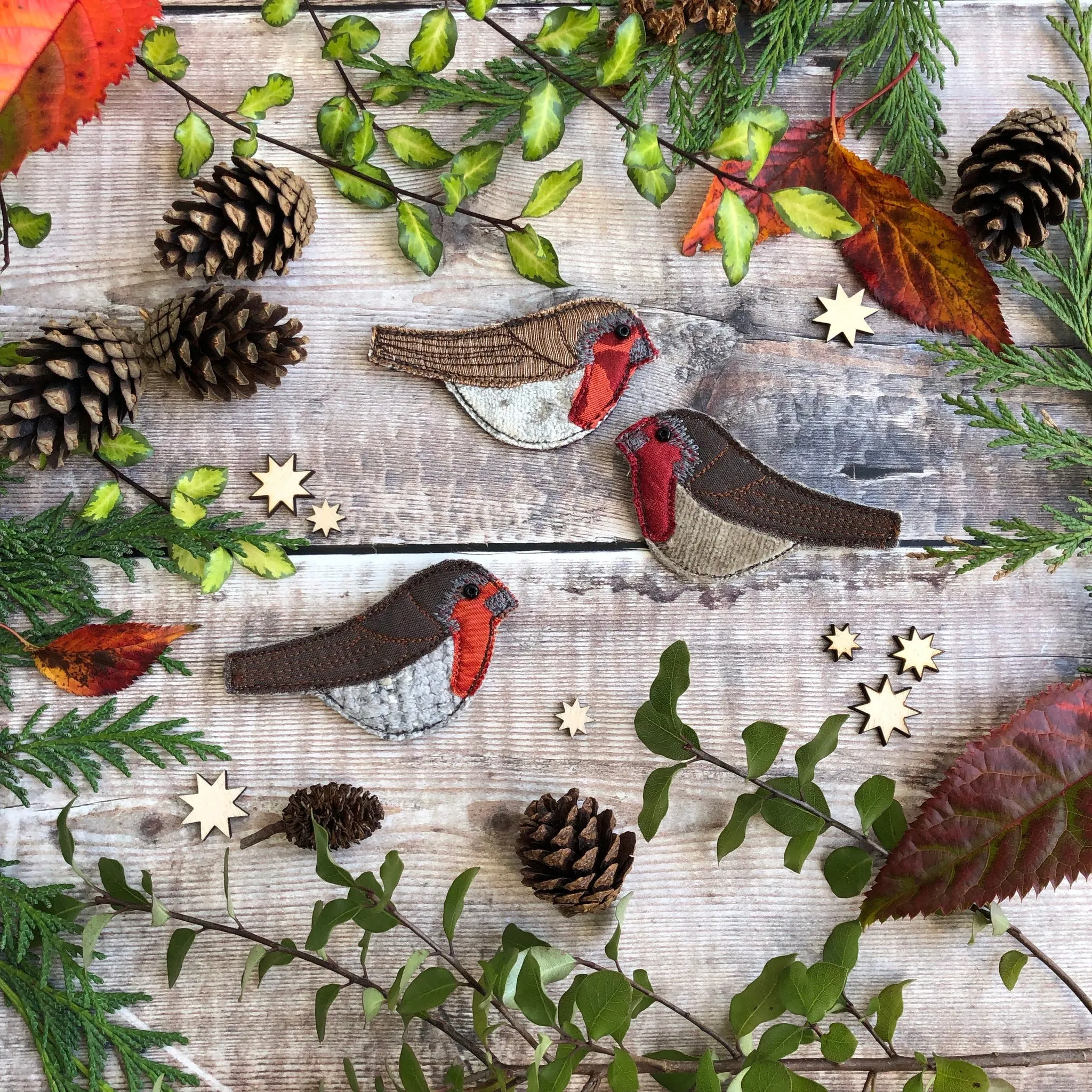 Robin Brooch