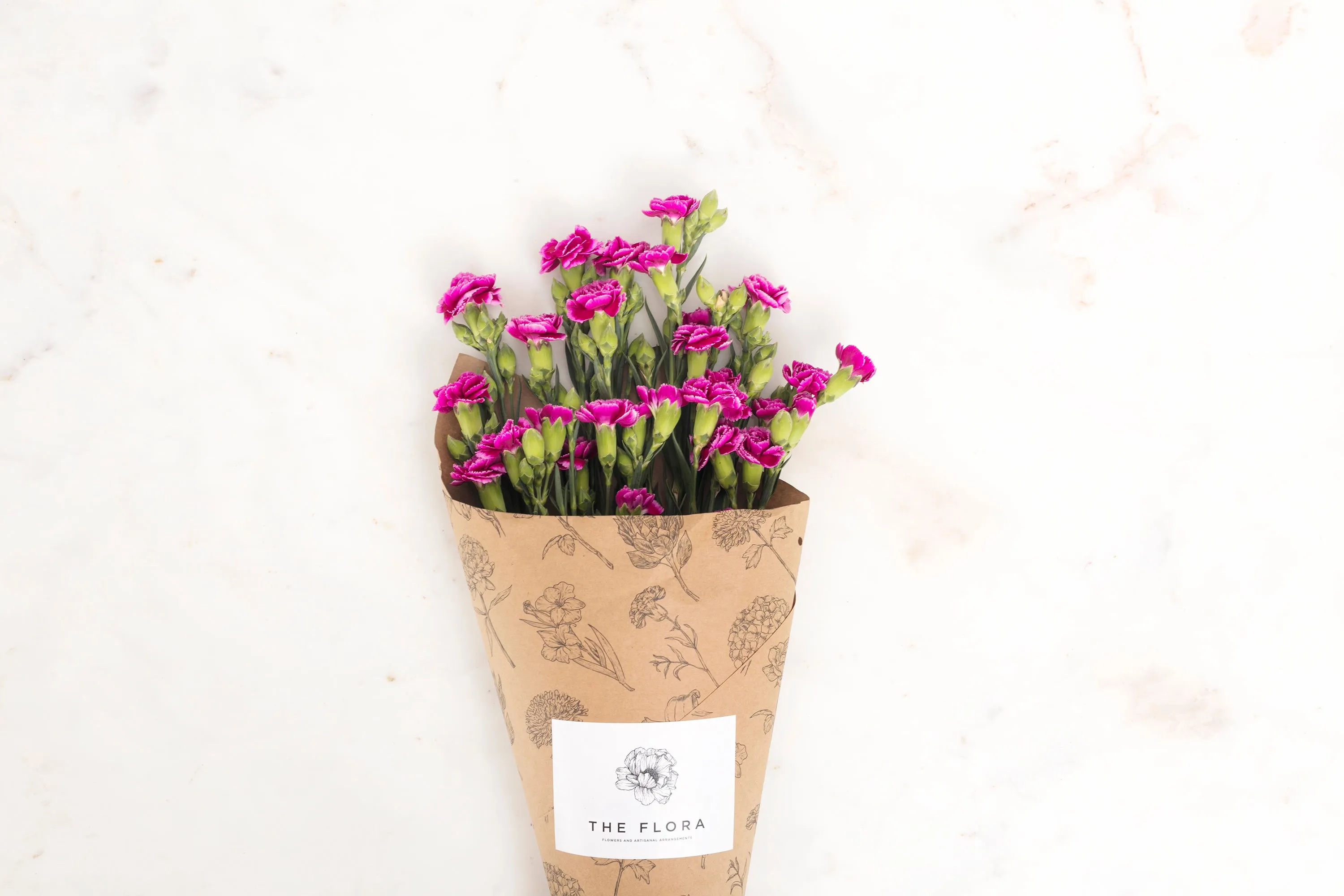 Spray Carnations