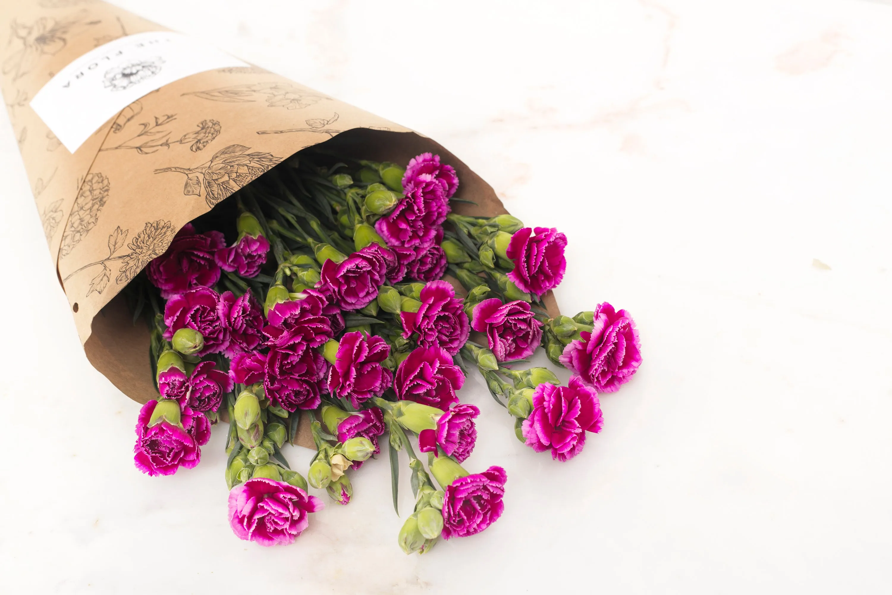 Spray Carnations