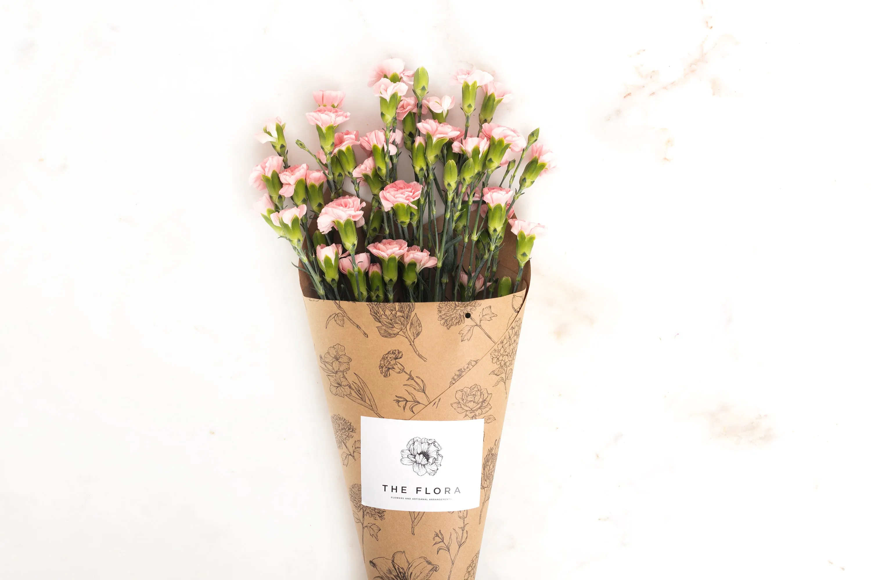 Spray Carnations