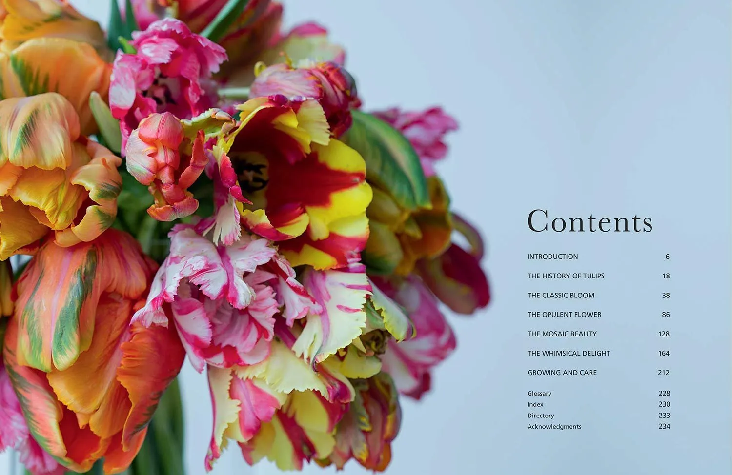 Tulips • Jane Eastoe & Rachel Warne