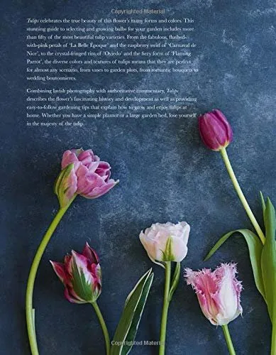 Tulips • Jane Eastoe & Rachel Warne
