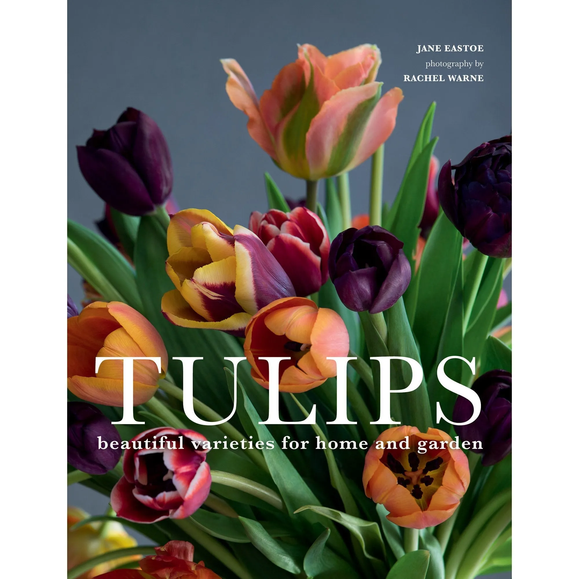 Tulips • Jane Eastoe & Rachel Warne