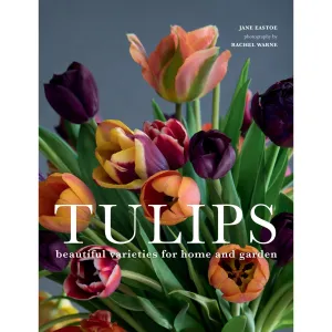 Tulips • Jane Eastoe & Rachel Warne