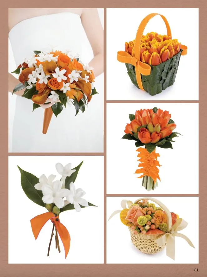 Wedding Collections