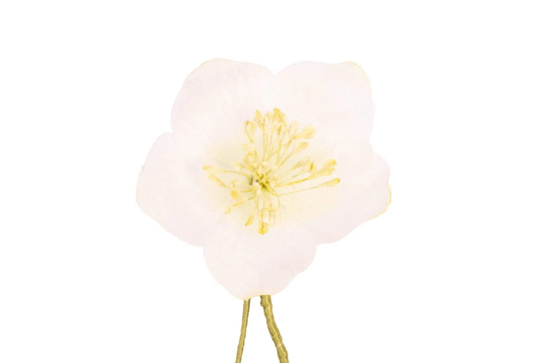 White Christmas Rose Boutonnière Flower