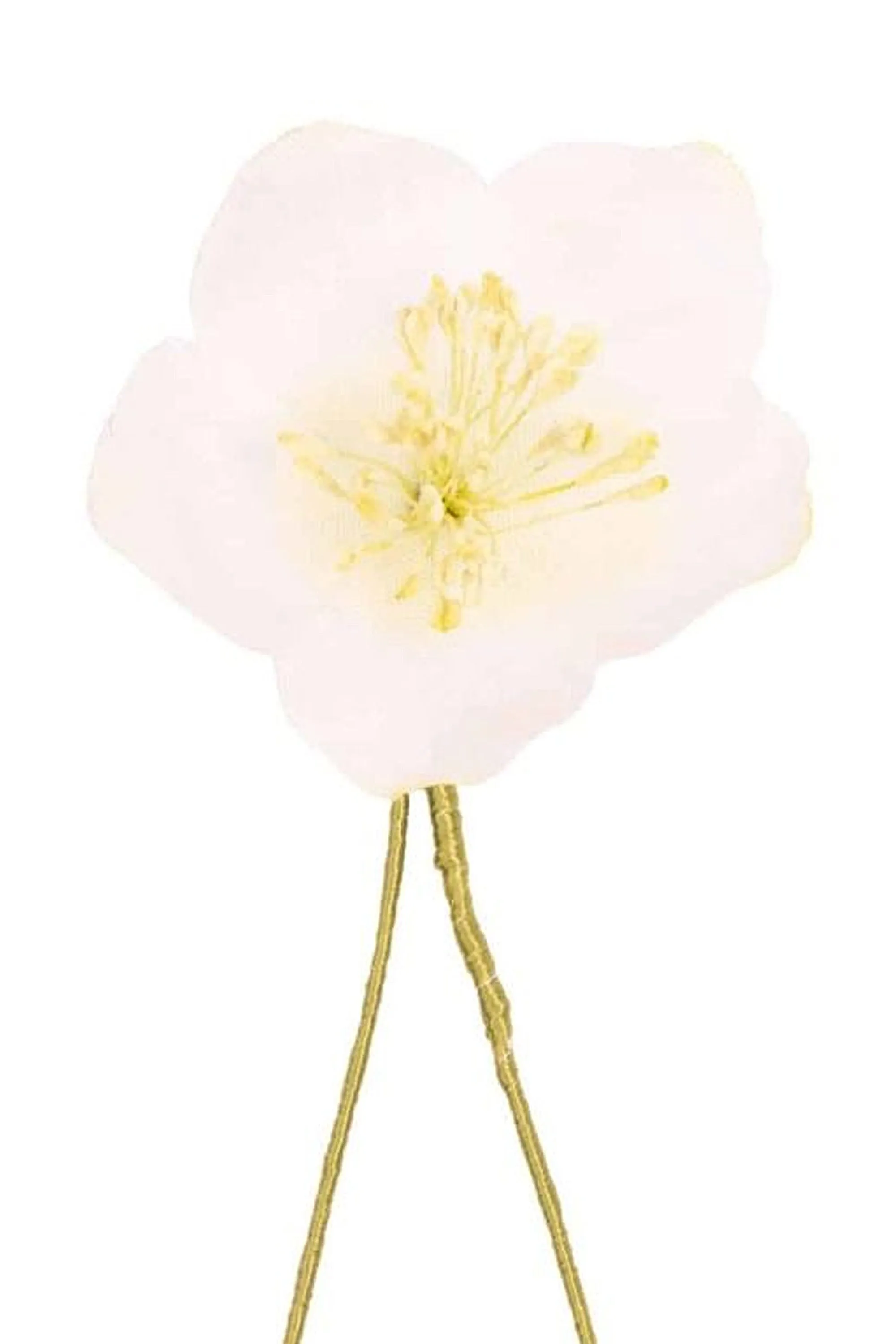 White Christmas Rose Boutonnière Flower